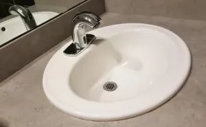 Gdzie odlatują bociany? Dlaczego to robią?